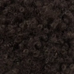 Afro Lace Wig Super Coiled Pixie N°4