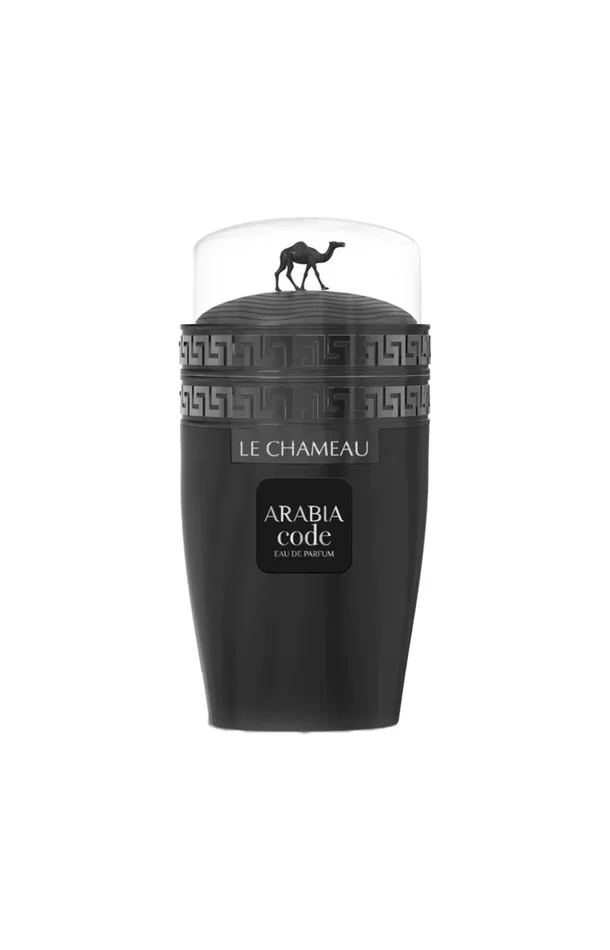 Arabia Code Eau de Parfum – Fruité boisé – Homme – 100 ml