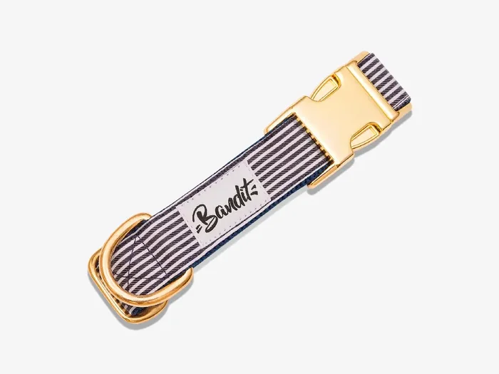 BANDIT COLLIER CHIEN IN THE NAVY – M