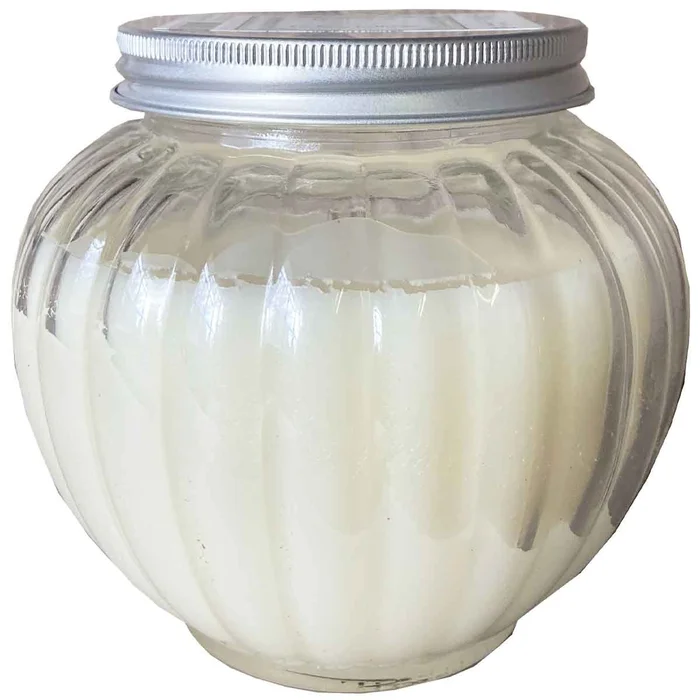 Bougie citrouille – Chimère – 100 h