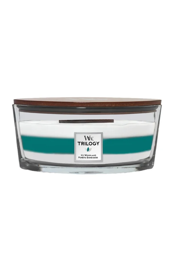 Bougie ellipse – Forêt enneigée – 454 g