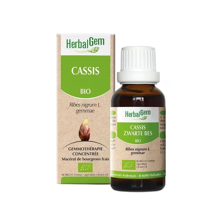 Cassis Bio 30ml Herbalgem