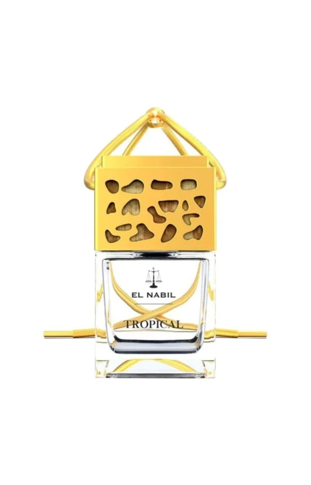 Diffuseur pour voiture – Musc Tropicale – 6 ml