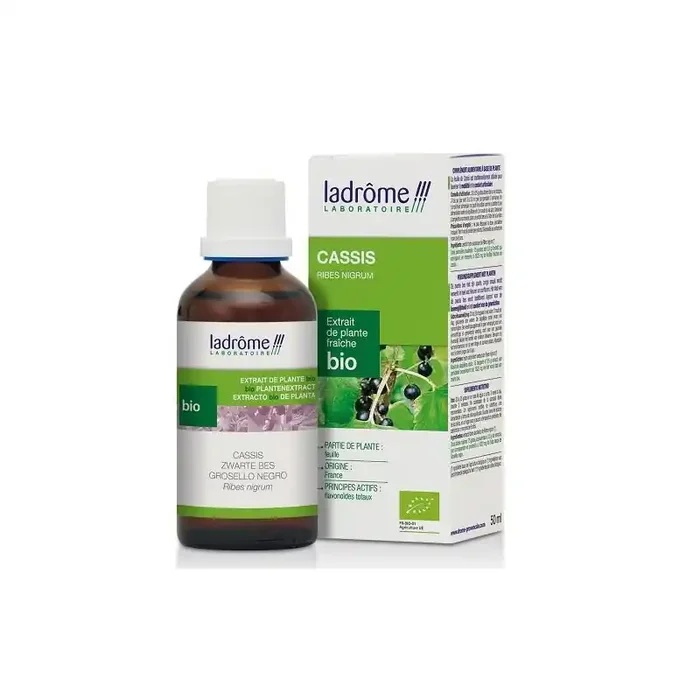 EXTRAIT DE CASSIS BIO 50ML LADROME