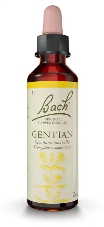 Fleurs de Bach Original Fleurs de Bach® Original Gentian / Gentiane / Gentiana Amarella