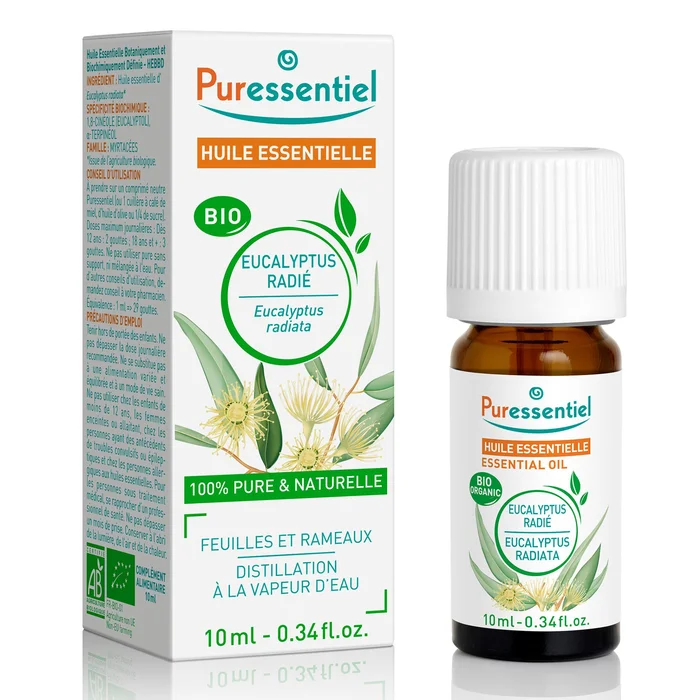 Huile Essentielle – Eucalyptus Radié BIO 10 ml