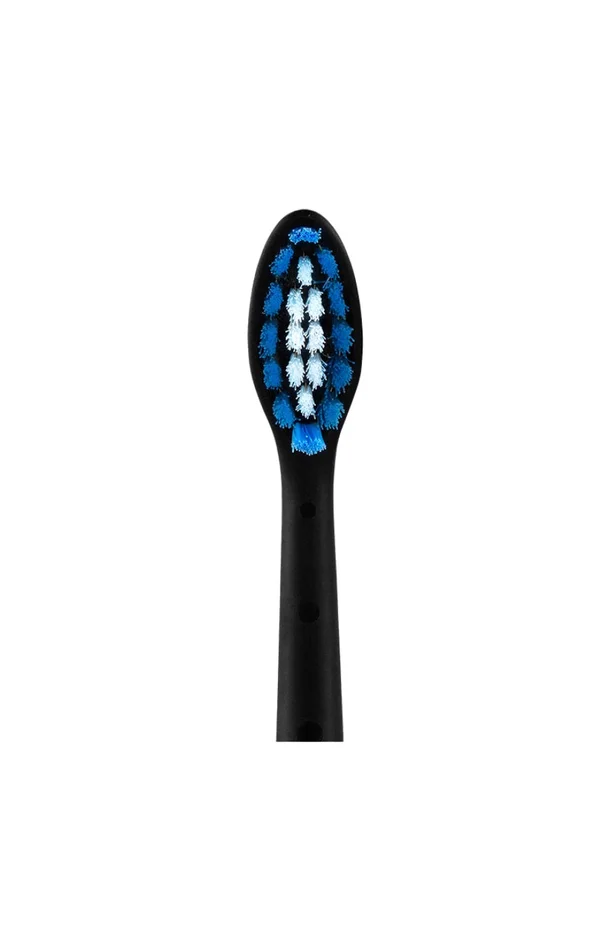 Lot de 2 brossettes sonique – Sonic You – Noir