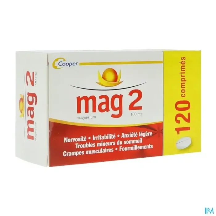 Mag 2 100mg comprimé 120