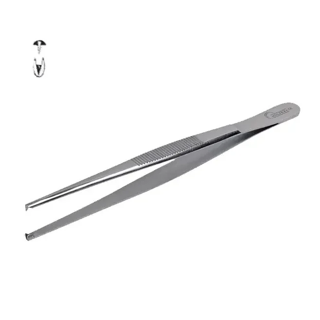 Pince à disséquer – Avec griffes – 14 cm