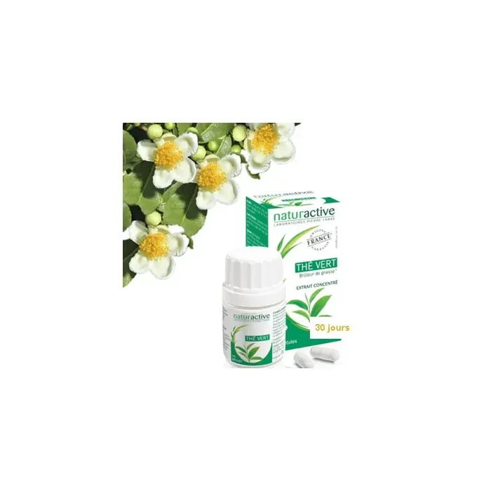 THÉ VERT X60 NATURACTIVE