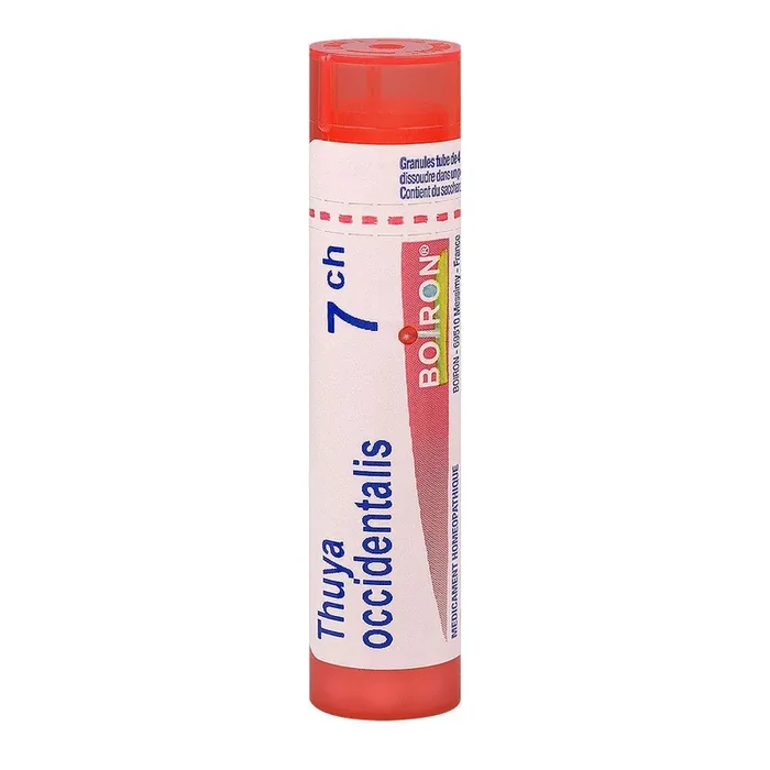 Thuya Occidentalis 7ch – Sphère ORL Pneumologie Dermatologie – Tube Granules 4g