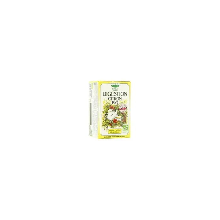 TISANE DIGESTION BIO SAVEUR CITRON ROMON NATURE