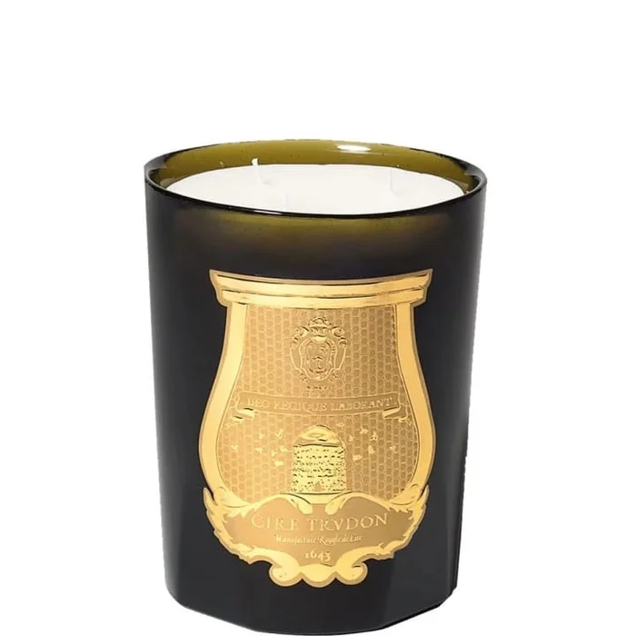 Trudon Ernesto • Cuir et Tabac Bougie Intermède