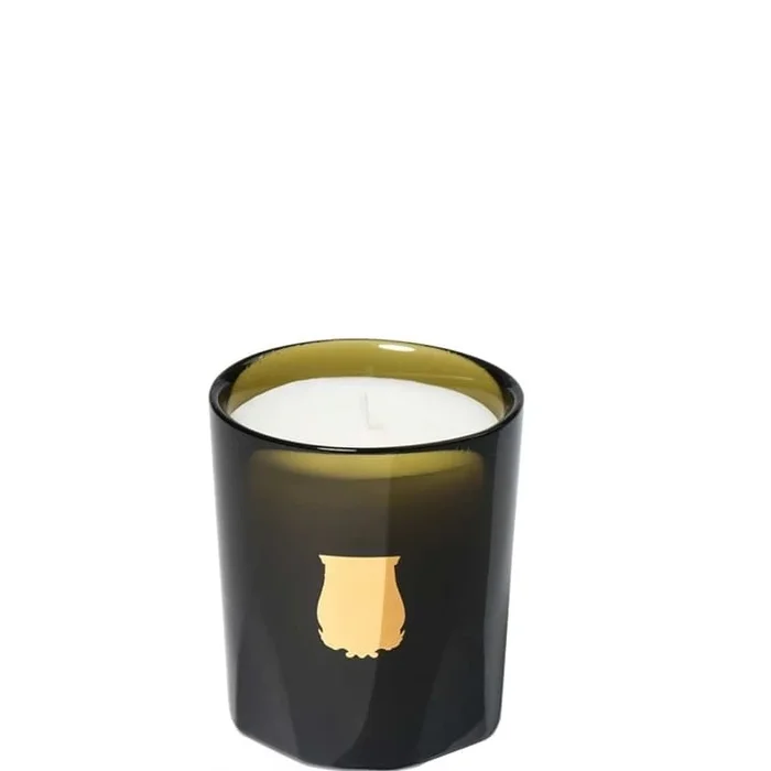 Trudon Ernesto • Cuir et Tabac Bougie Parfumée 70 g – Luxe et raffinée